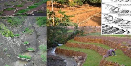 Kolaborasi Multipihak Membangun Hutan Berkelanjutan